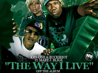 KRS-ONE & Buckshot feat. Mary J. Blige The Way I Live (prod. by Black Milk) 