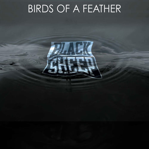 BlackSheep-Birdsofafeather
