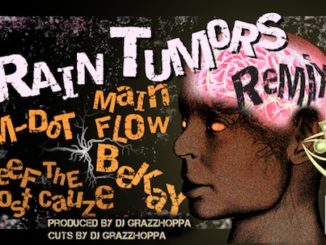 Brain_Tumors_Remix_Flier