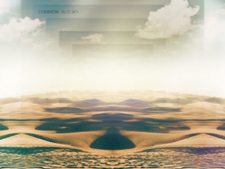 common-blue sky