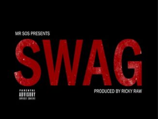 Mr. SOS - Swag