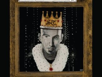 termanology-cameokingii