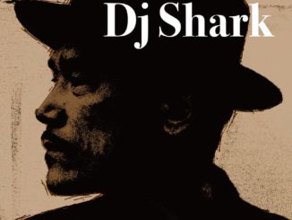 DJ Shark - Oxidized Silver
