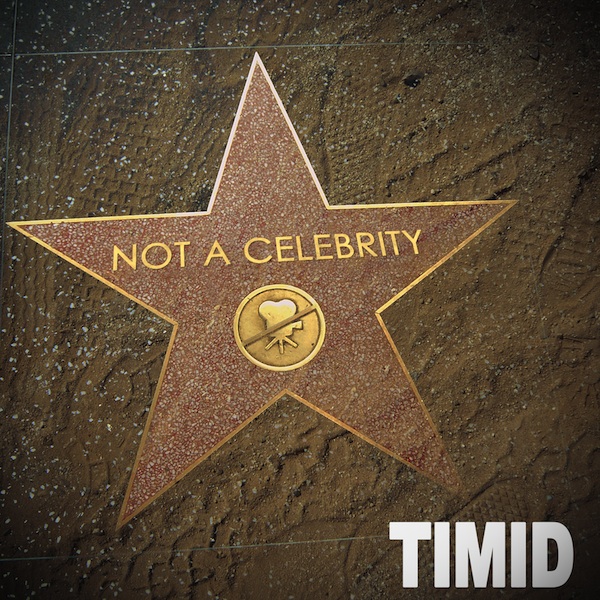 Timid - Not a Celebrity