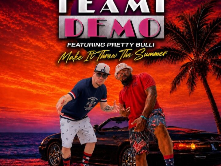 Team Demo feat. Pretty Bulli – Make It Threw The Summer